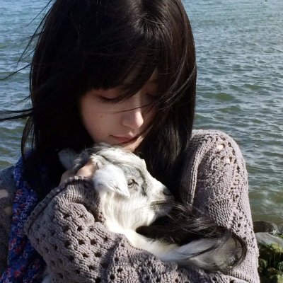往这边看向井君