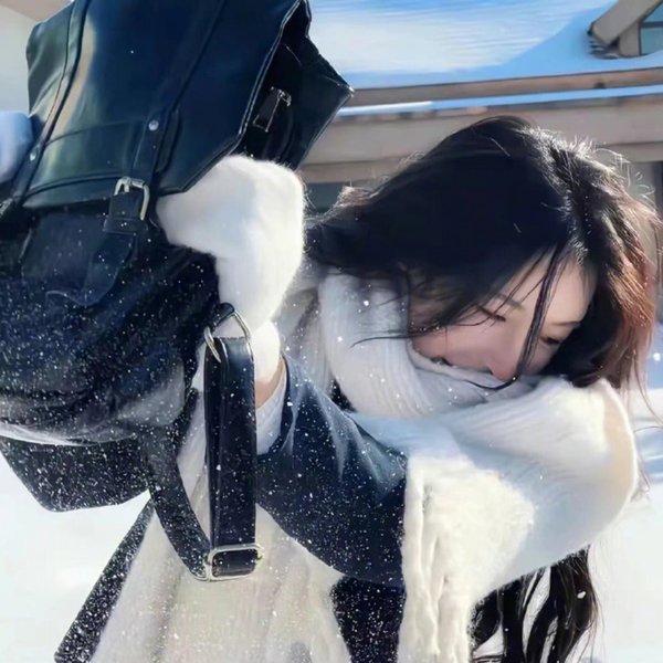 白头情侣粤语